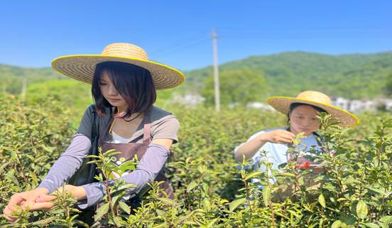 B1C7ADA451476DEF51A41E8D7B072879